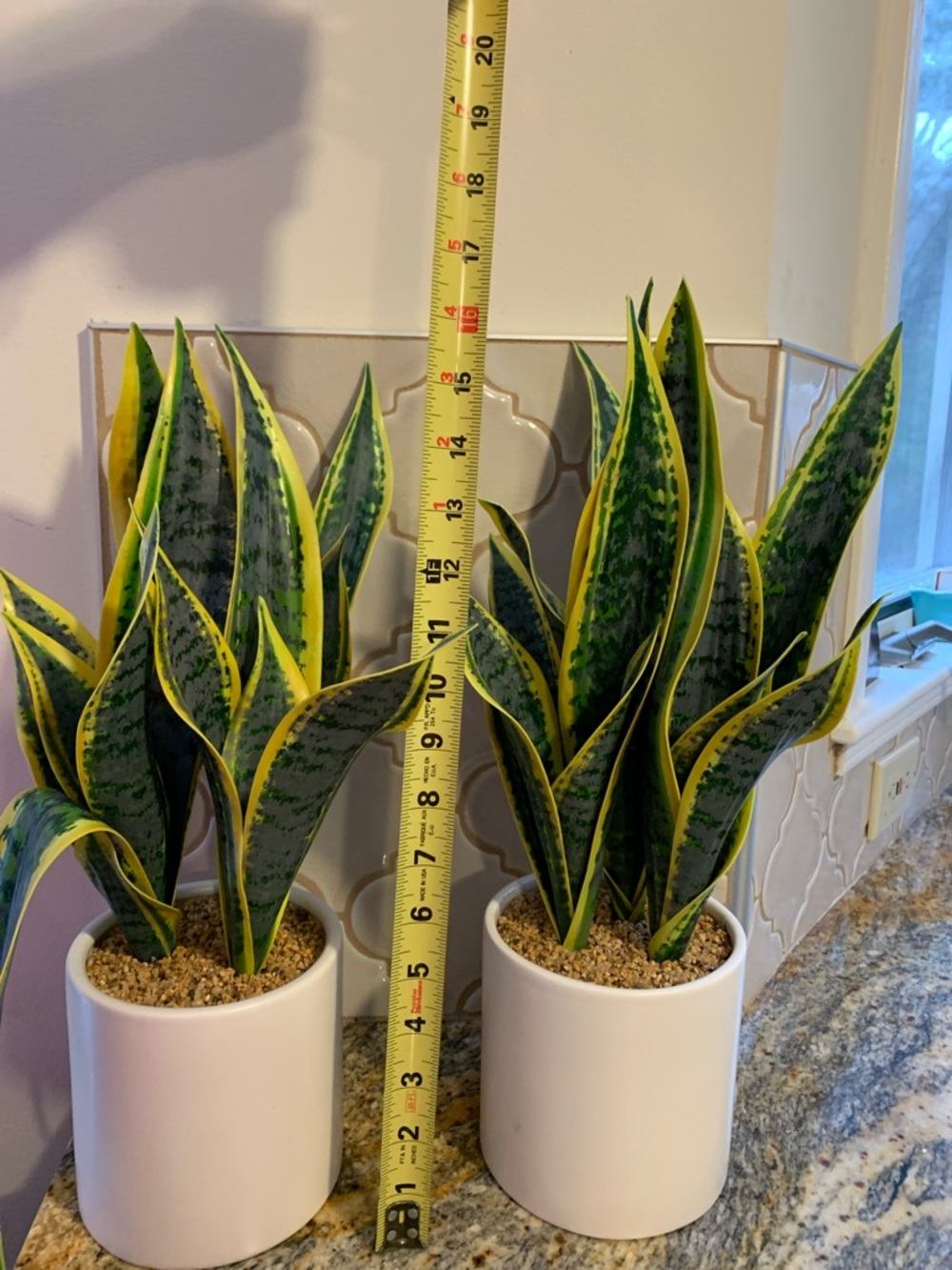 Artificial Sansevieria Snake Plant in White Ceramic Pot - Green & Yellow - Picture 4 of 4
